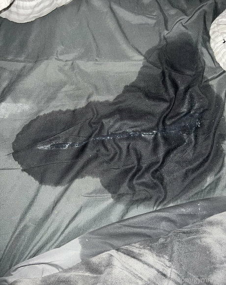 gymratcat nus étoiles images