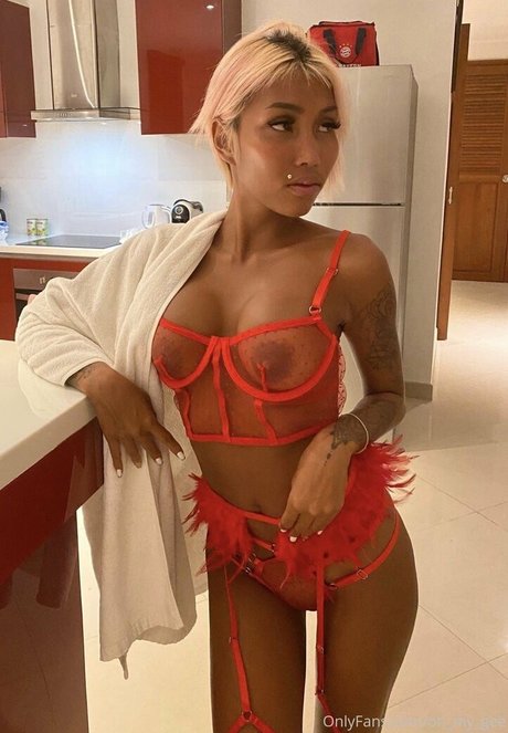 oh my gee haut étoile photos