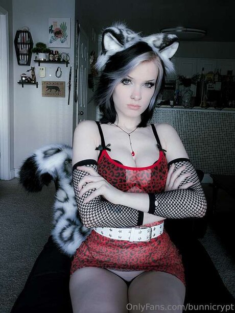 Bunnicrypt modèle meilleur galerie