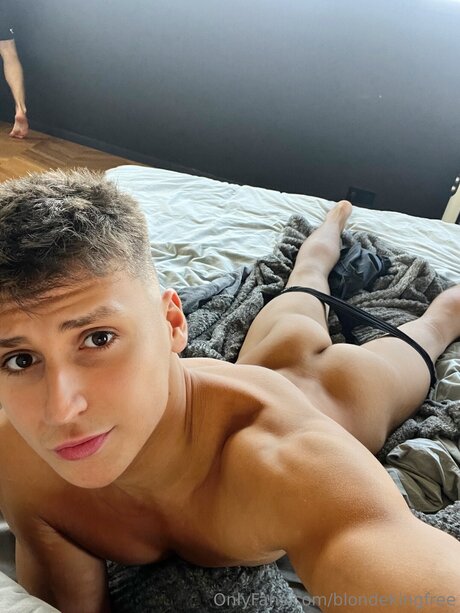 Blondekingfree top star img