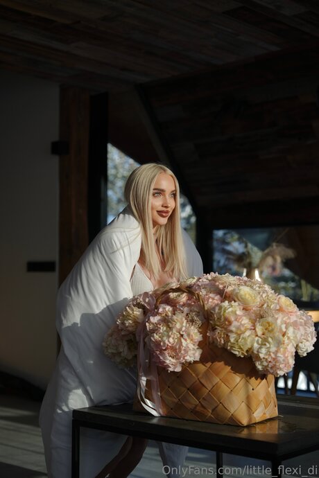 Dianabarbie art étoile galerie