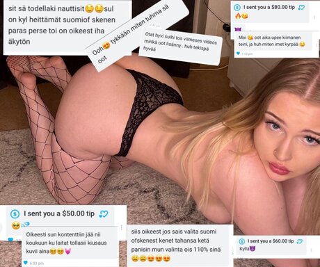 Suomenhottikset haut étoile photo