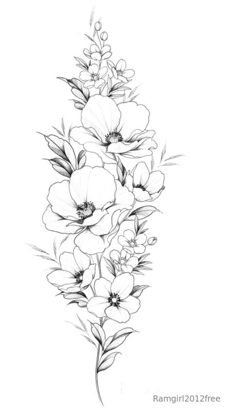 Ramgirl2012free étoile nue img