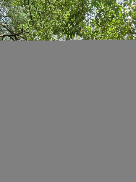 Panther 4 belle actrice des photos