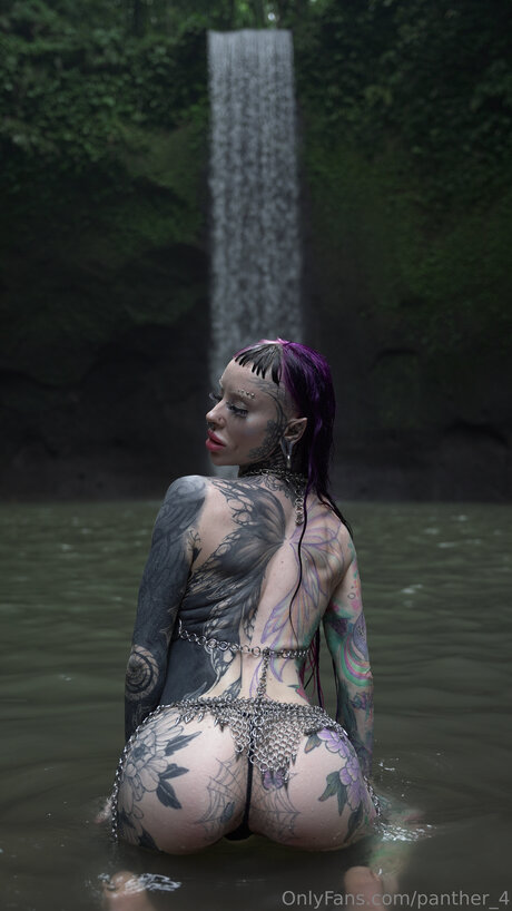 Panther 4 haut étoile image