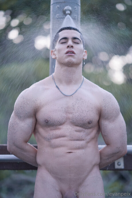 Evanpeix jolie actrice img