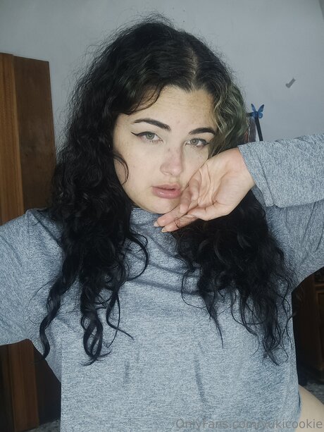 Yukicookie modèle archive