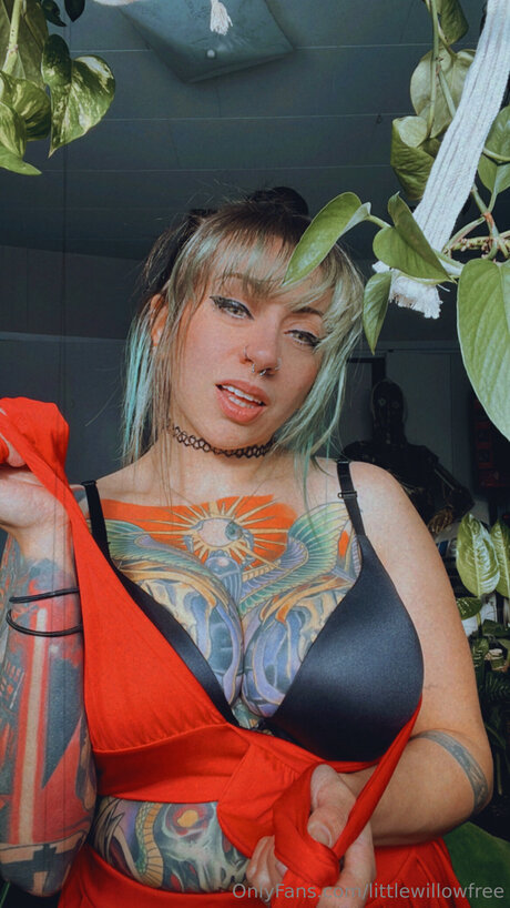 Littlewillowfree modèle xxx image