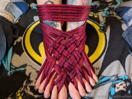 Littlewillowfree belle actrice img