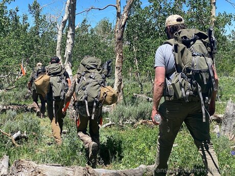 Bulletvalentina étoile xxx archive