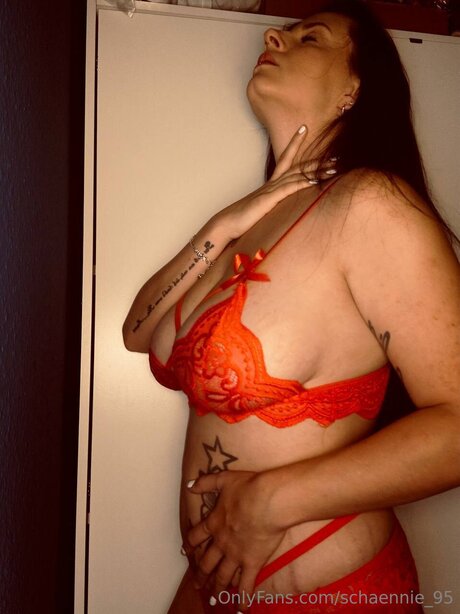 Schaennie 95 modèle hd photos