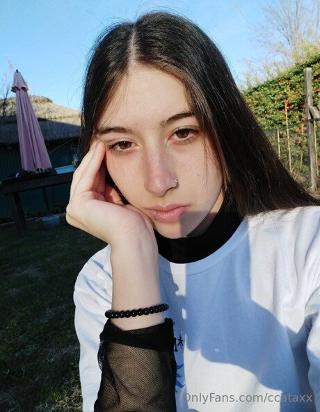 Ccataxx meilleur modèle galerie