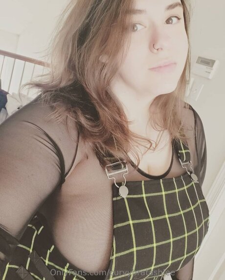 Curvybratashlee star du porno parfaite galeries