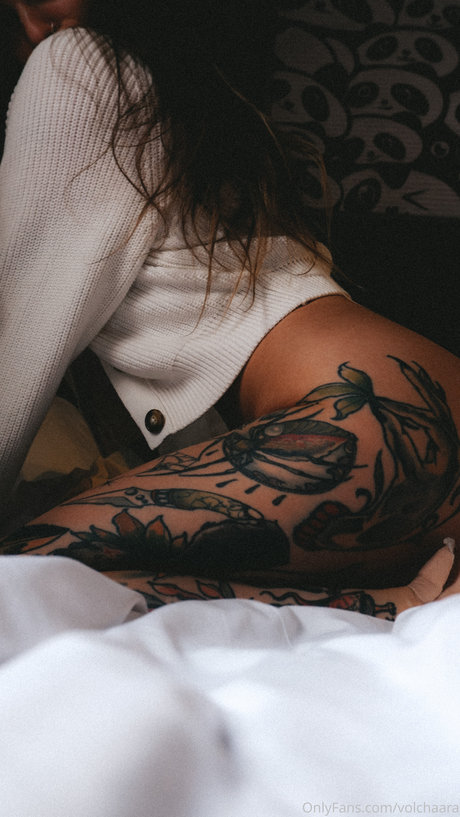 _volchara modèle joli image