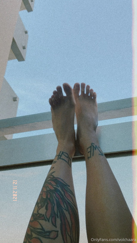 _volchara star du porno de haute qualité collection