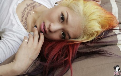 mahnee étoile parfaite photo