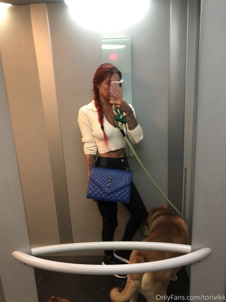 Tori Vikk meilleure star du porno galeries