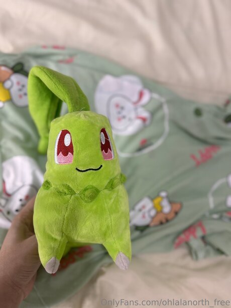 Ohlalanorth Free étoile exclusive archive