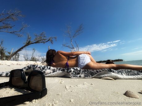 Leahwbrooke étoile de l'art galerie