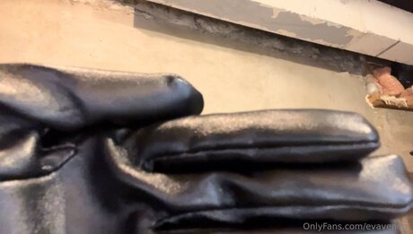 Evavenom actrice adulte collection