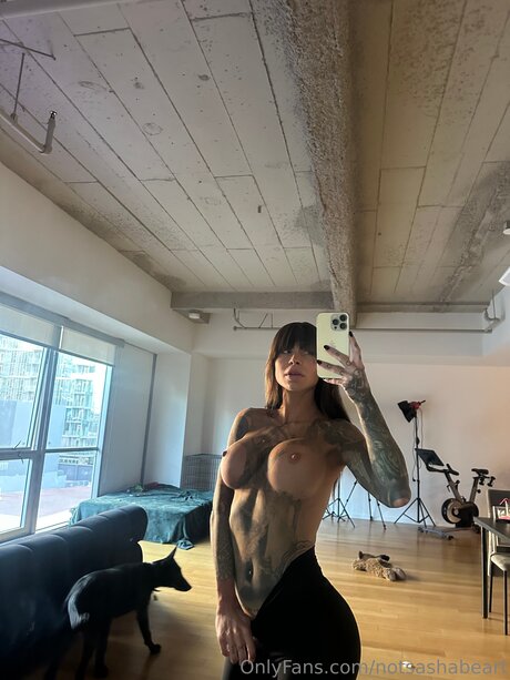 Notsashabeart modèle gratuit archive