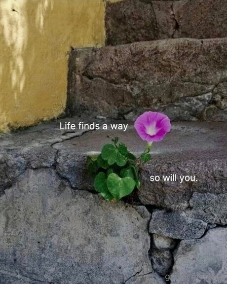 Gnarlymarbles modèle nu collection