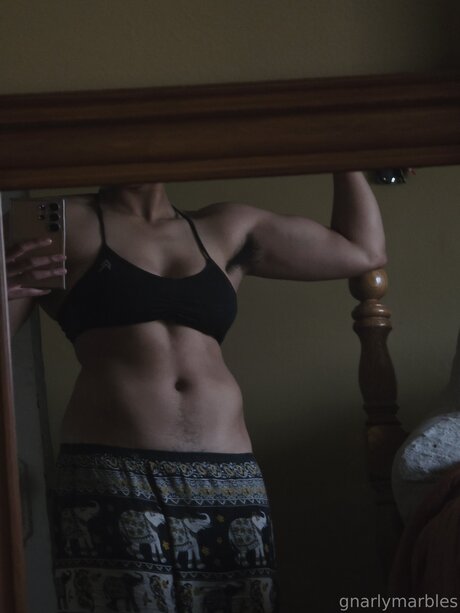 Gnarlymarbles art star du porno galerie