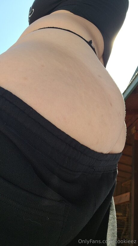 Cookieez modèle de haute qualité images