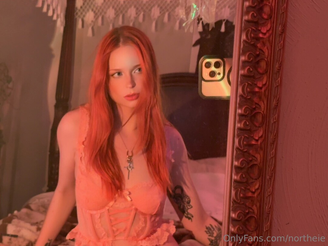 Northeie étoile adulte photo