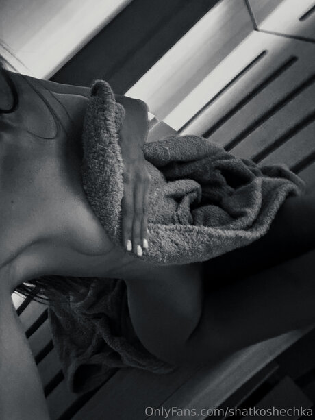 Shatkoshechka art modèle image