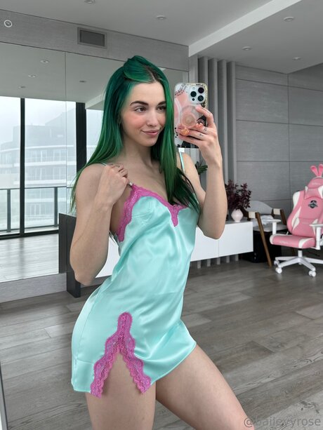 Baileyyrose étoile de haute qualité photos