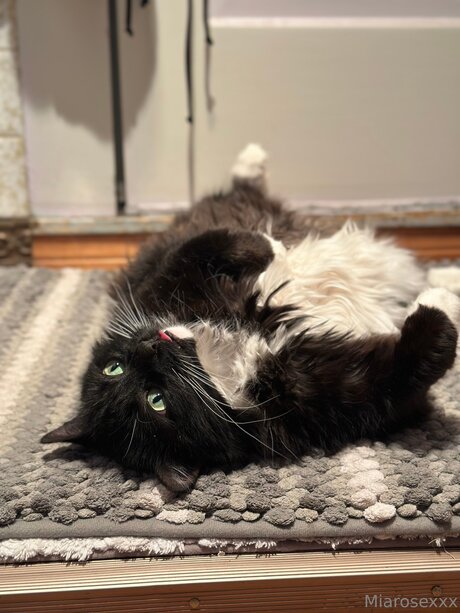 Miarosexxx actrice chaude photo