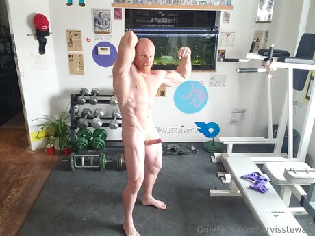 Jarvisstewart Fotoaufnahmen