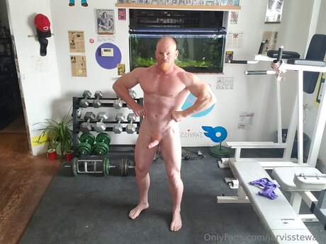 Jarvisstewart modèle sympa image