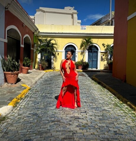 Matneybb nus star du porno images