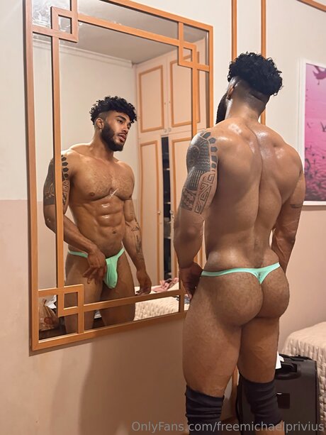 Freemichaelprivius art de star du porno photo