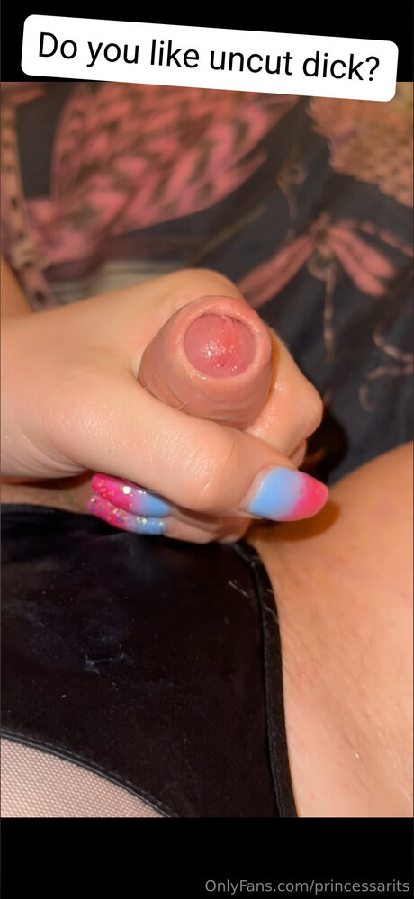 Princessarits étoile adulte galerie