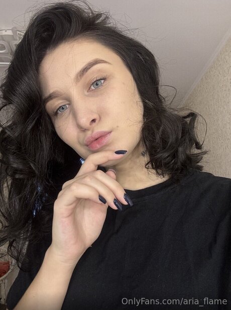 Aria Flame meilleur modèle image