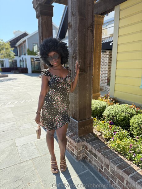 Ebonybuttspremium étoile hd images