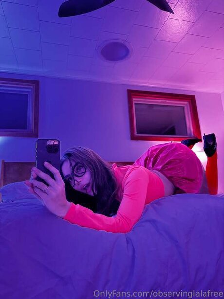 Observinglalafree étoile de haute qualité photos