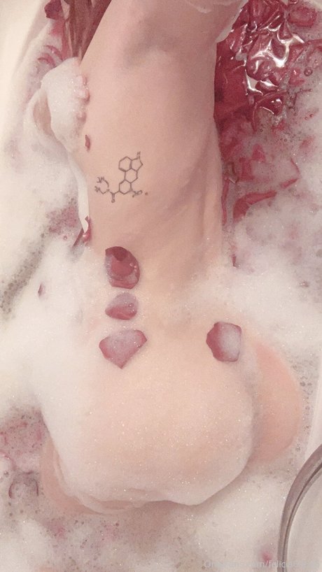 Felicia vina étoile adulte galeries