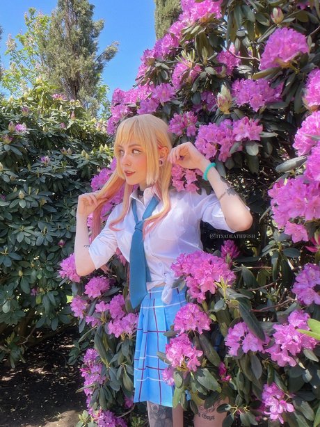 fans de tgirl uniquement meilleur sympa image