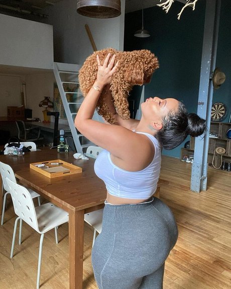 King Steph étoile chaude image