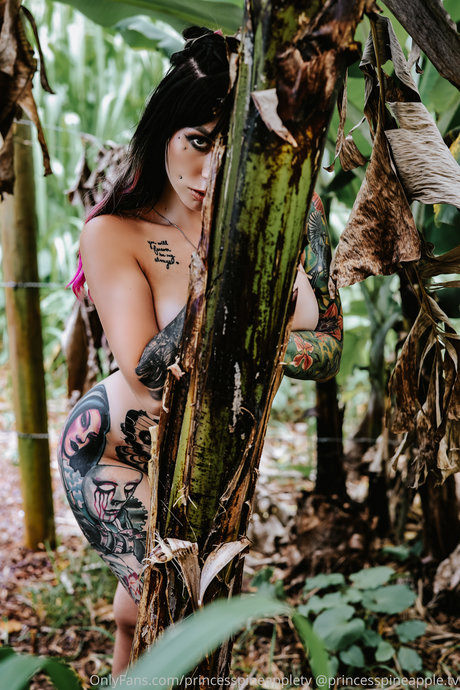 Theprincesspineapple_ haut étoile img