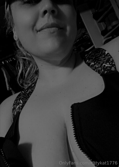 Kittykat1776 étoile gratuite galerie