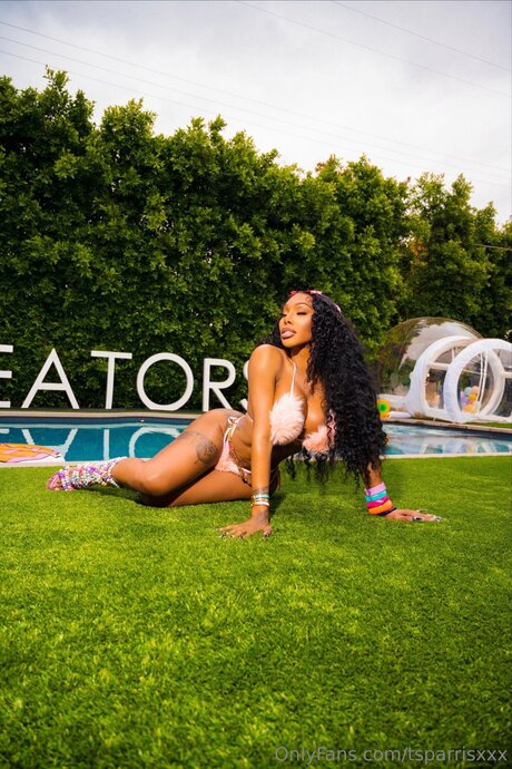 Tsparrisxxx nus étoiles galeries