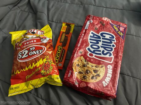 Mamamooocow modèle artistique galerie