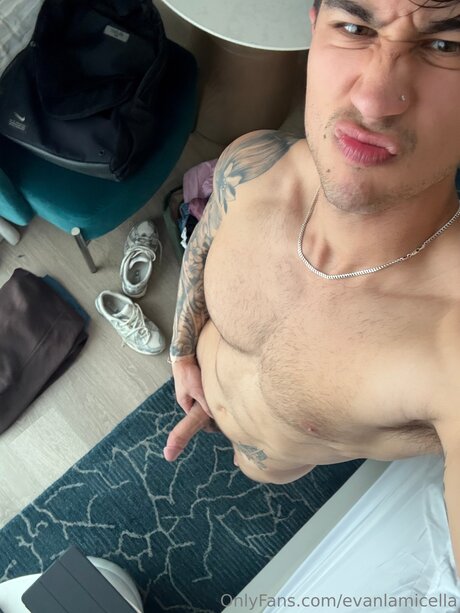 Evanlamicella actrice sexy collection