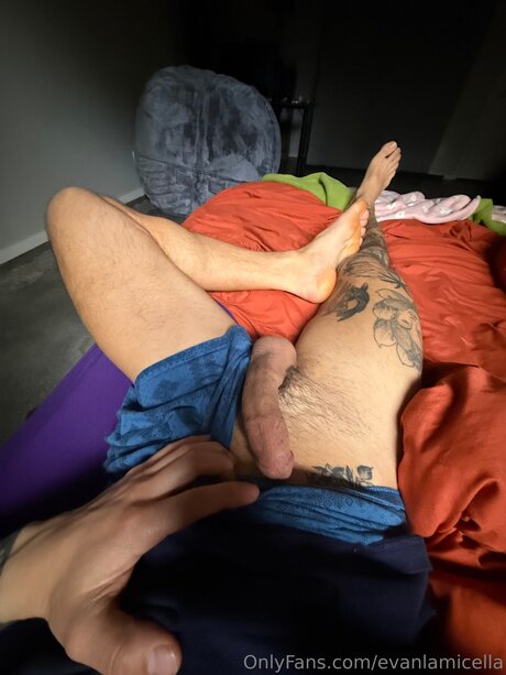 Evanlamicella art star du porno img