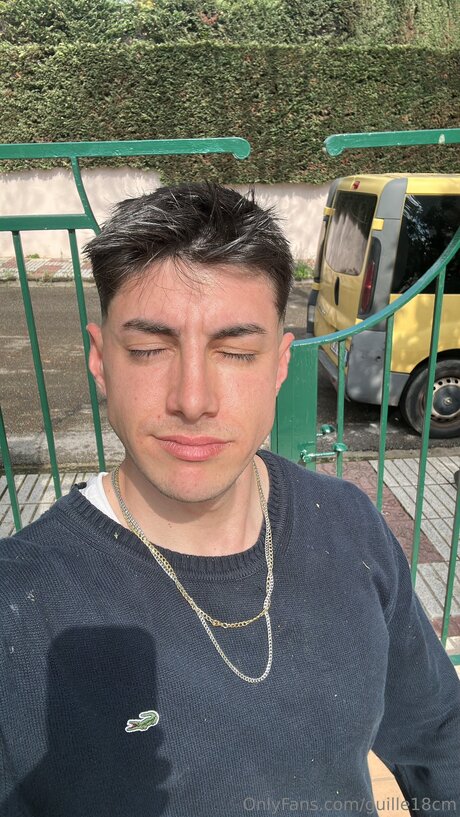 Guille18cm nus star du porno img